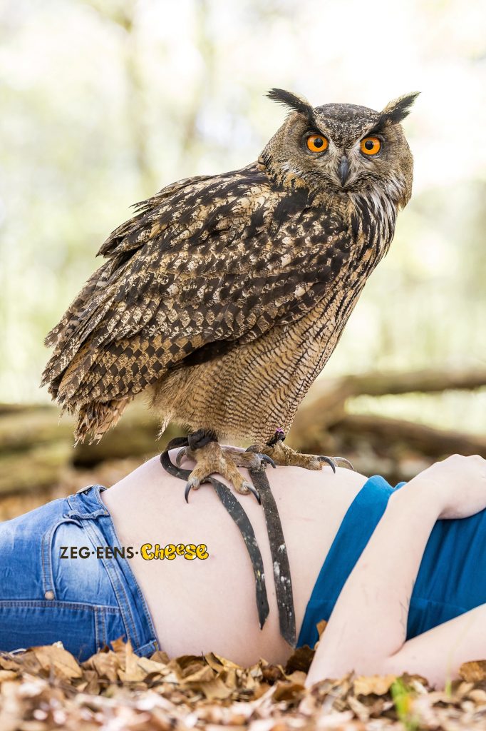 Zwangerschapsfotoshoot_Roofvogels (11)