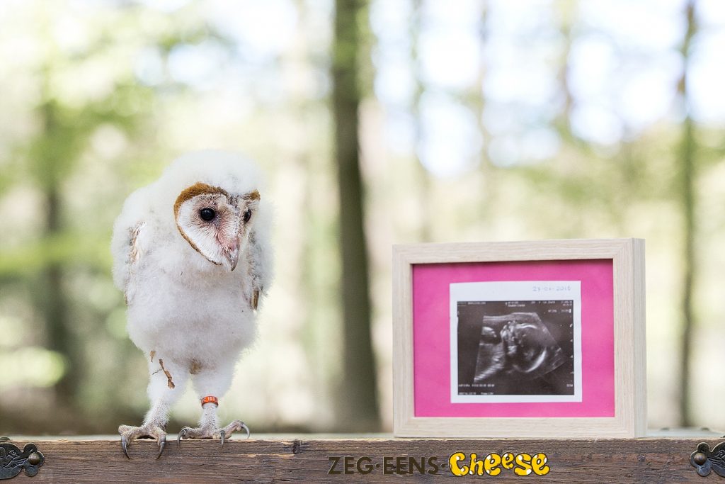 Zwangerschapsfotoshoot_Roofvogels (8)