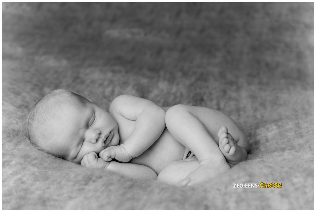 Newborn fotoshoot Rotterdam fotostudio