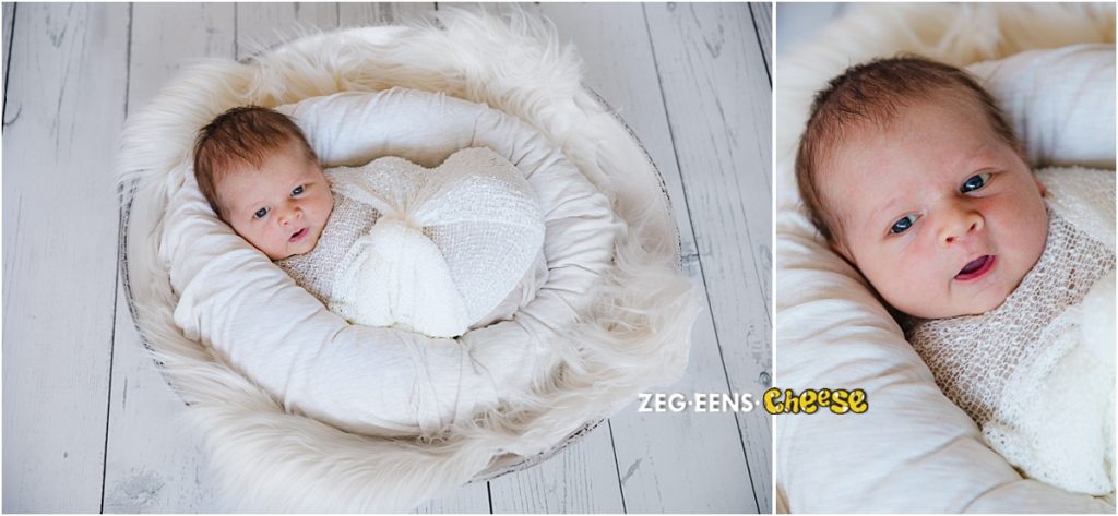 Newborn fotoshoot Rotterdam