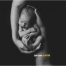 Newbornfotoshoot